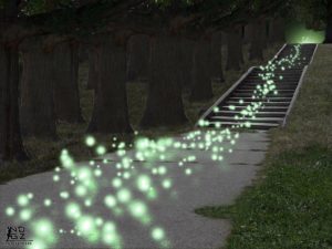 Add some sparkle to your life